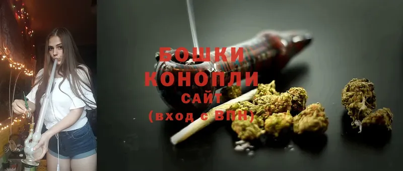 Конопля OG Kush  Новомичуринск 